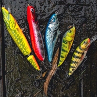 Salmo Jointed Pike